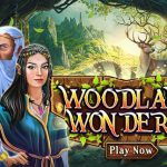 Woodland Wonders